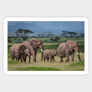 Amboseli National Park Sticker